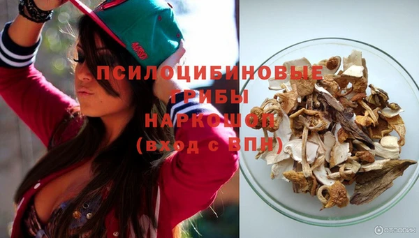 apvp Верхний Тагил