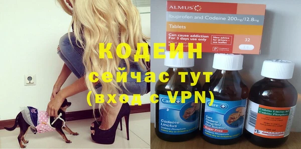 mdpv Бородино