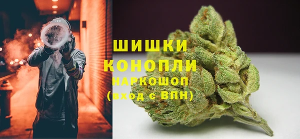 mdpv Бородино